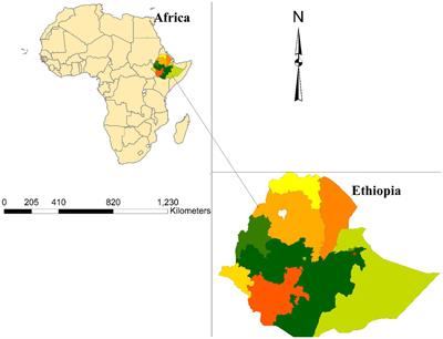 Investigating neighbourhood environmental risk factors associated with childhood acute respiratory infection symptoms in Ethiopia mixed effect and multilevel logistic regression analysis based on EDHS 2016